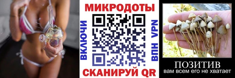 OMG онион  Таганрог  Псилоцибиновые грибы Cubensis 